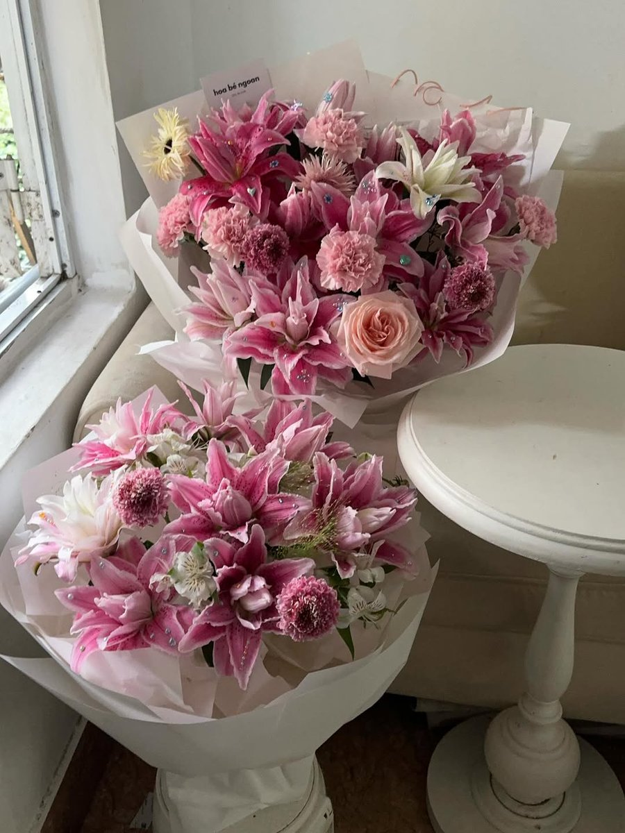 softpetalview's tweet photo. https://t.co/jkM3ceuxuR
