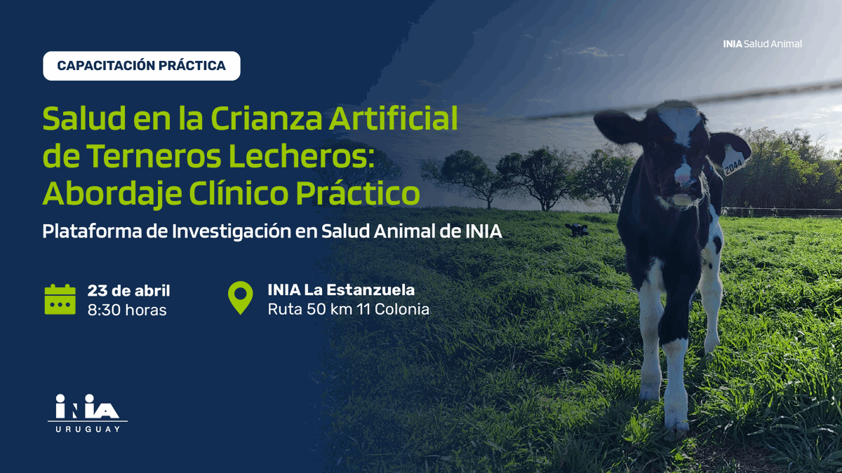 INIA_UY's tweet photo. ¡No te pierdas la capacitación práctica de salud de terneros en la guachera! Pondremos foco en abordaje clínico-práctico. 🐄

📅 23 de abril
📍 INIA La Estanzuela
👥 Cupos presenciales limitados

Inscribite: https://t.co/rMHF2RMfMc https://t.co/hxEpxkIgwP