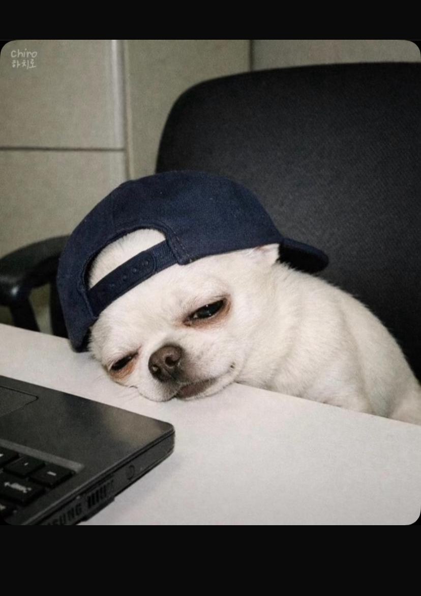 Oluwatoyin❤ tweet media