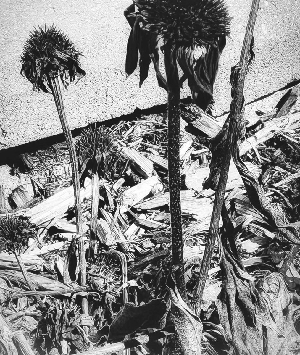 Rachel H. (Rach) tweet media