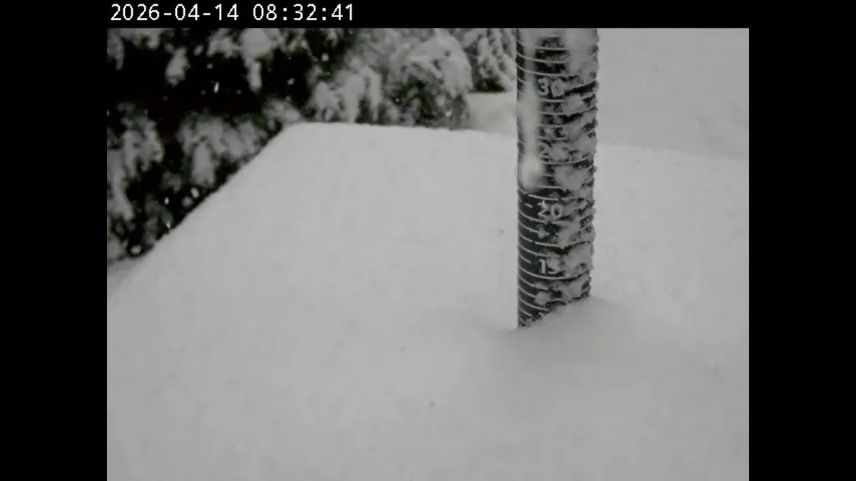 Kusswx's tweet photo. Snow a couple days too late for skiers. Already over 10cm @Cypressmtn at 8AM and still coming down but the hill is closed for the season. Good news is all the mountain snow today will help keep water coming into the reservoirs later this spring. @CityNewsVAN https://t.co/aXGki75dhj