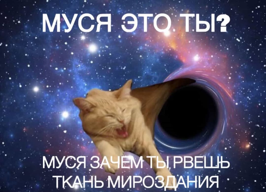 morningwood19cm tweet media