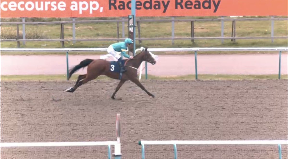 GetYourTipsOut tweet media