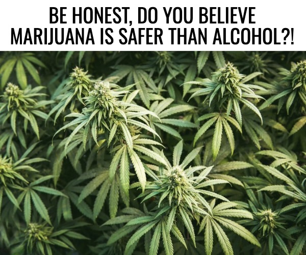 Anti Left Memes tweet media