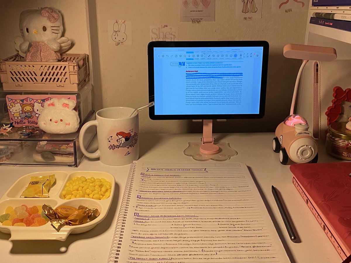 lavienperu's tweet image. #study #studytwt #studygram #studywithme