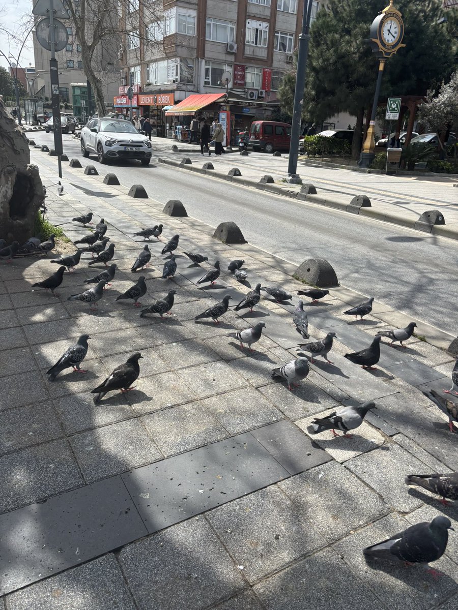 yr☆ zuri tweet media