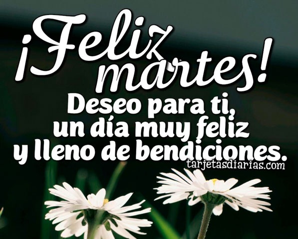 rogelio martinez 99K tweet media