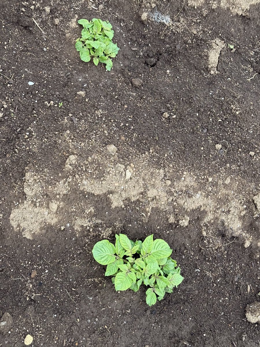 🖕M⚾️ﾀｿ🍎A🍏ﾒﾝ🥎D🖕 tweet media