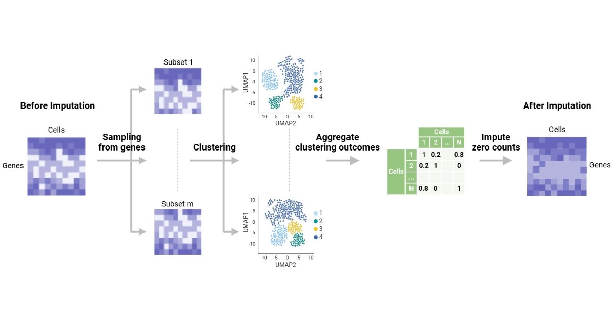 Bioeng_MDPI's tweet image. 💥Excited for the publication: "CCI: A Consensus Clustering-Based Imputation Method for Addressing Dropout Events in scRNA-Seq Data"
🔗 brnw.ch/21x1ABk
📌 #SingleCellRNAseq #scRNAseq #Bioinformatics #DataImputation #Genomics #MachineLearning #ComputationalBiology