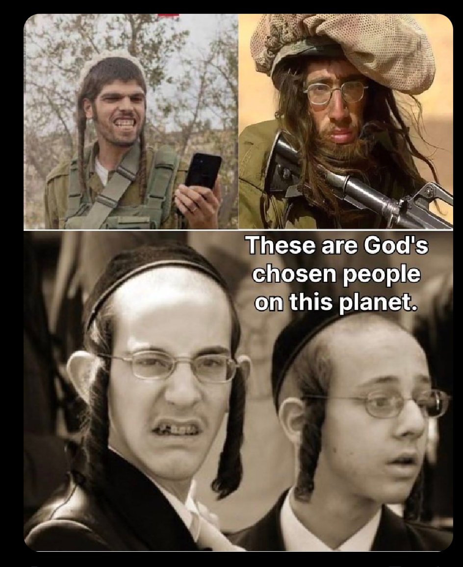 Nazireu7 tweet media