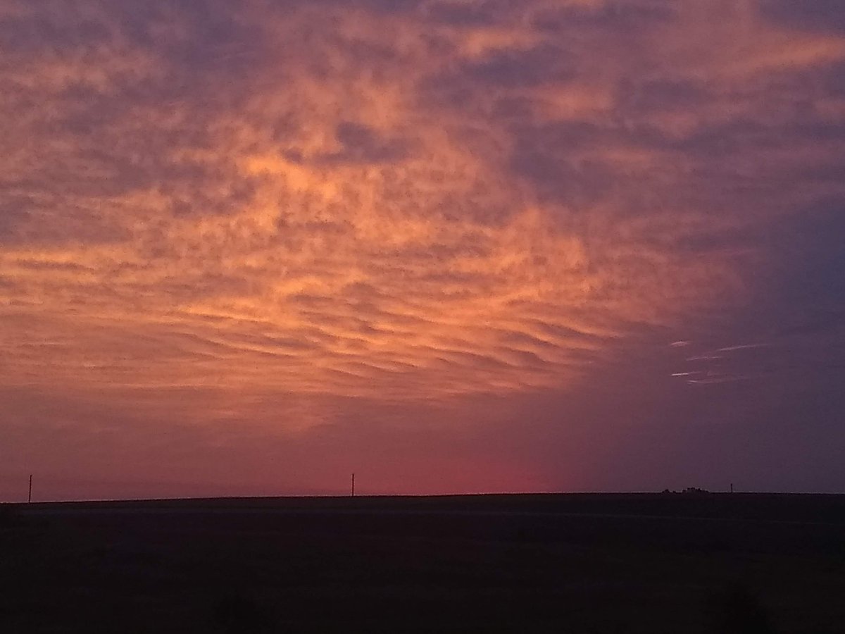 Das M Paul tweet media