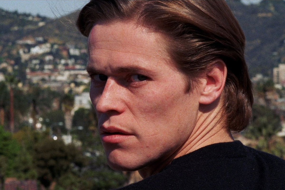 Todd Gaines tweet media