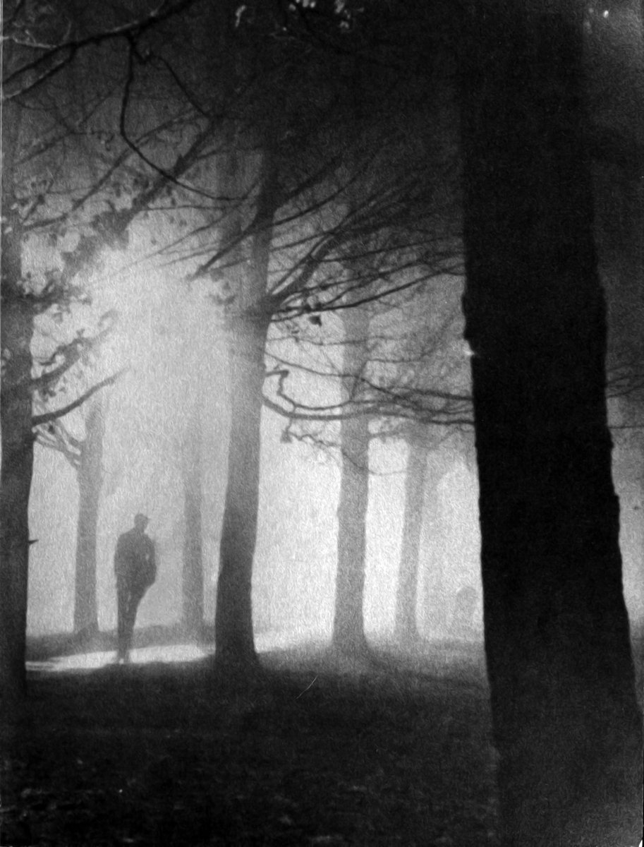 Rudy Havenstein, Senior Markets Commentator. tweet media