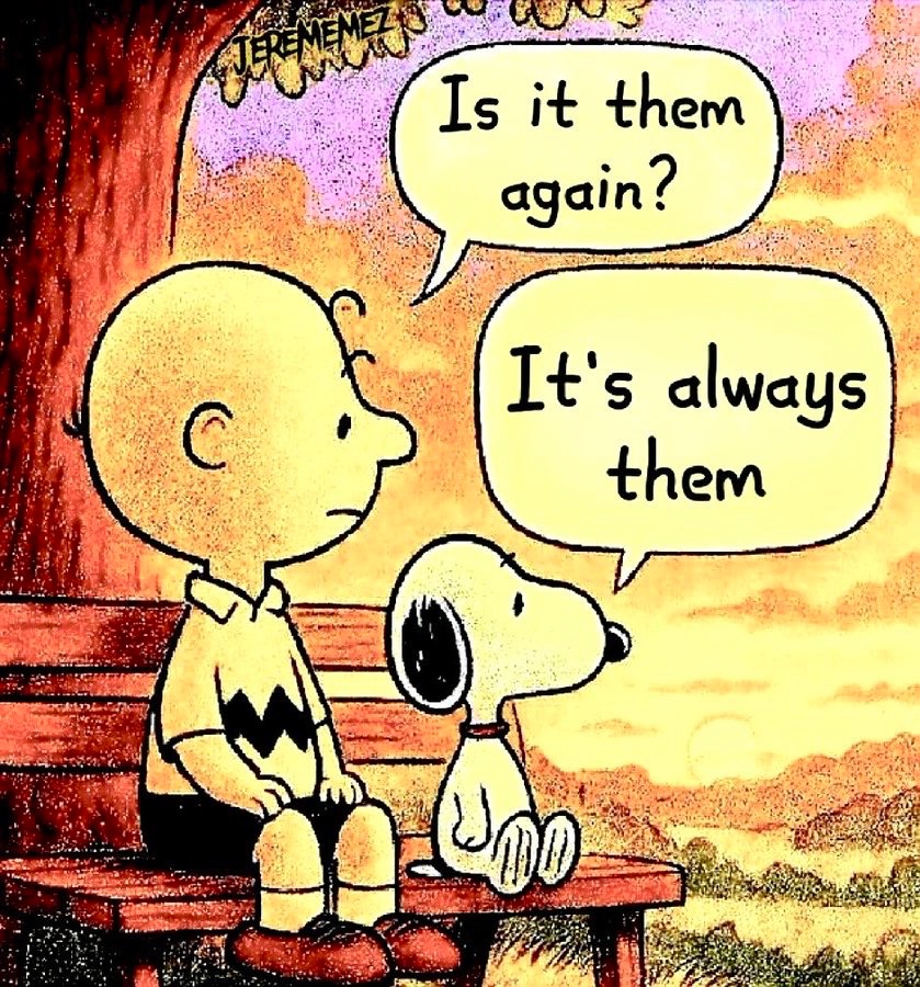 Shane P. Bravo tweet media