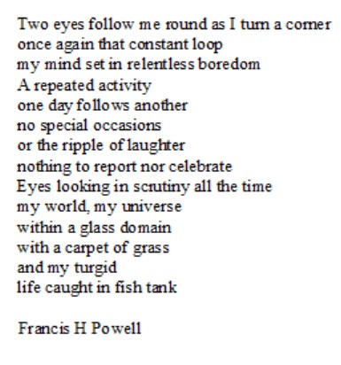 Dreamheadz's tweet image. #vss365 #prompt #loop