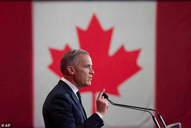 Finding心归何处🇨🇦🇺🇸 tweet media