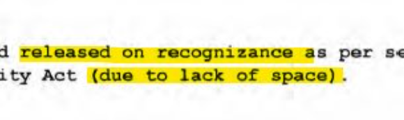 David J. Bier tweet media