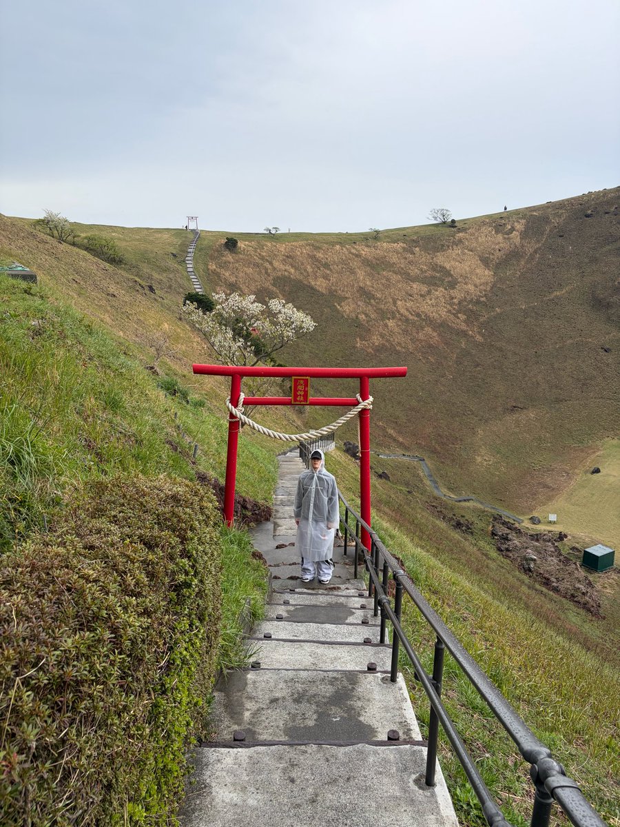 킁. 킁 tweet media