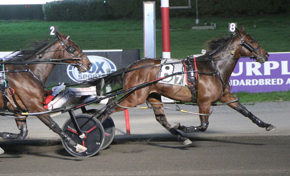 Meadowlands Racing tweet media