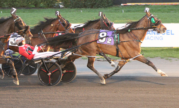 Meadowlands Racing tweet media