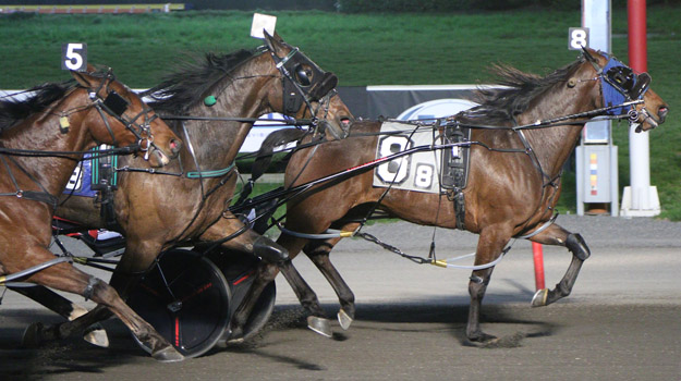 Meadowlands Racing tweet media