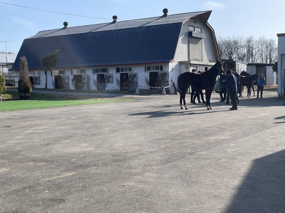 門別牧場 tweet media