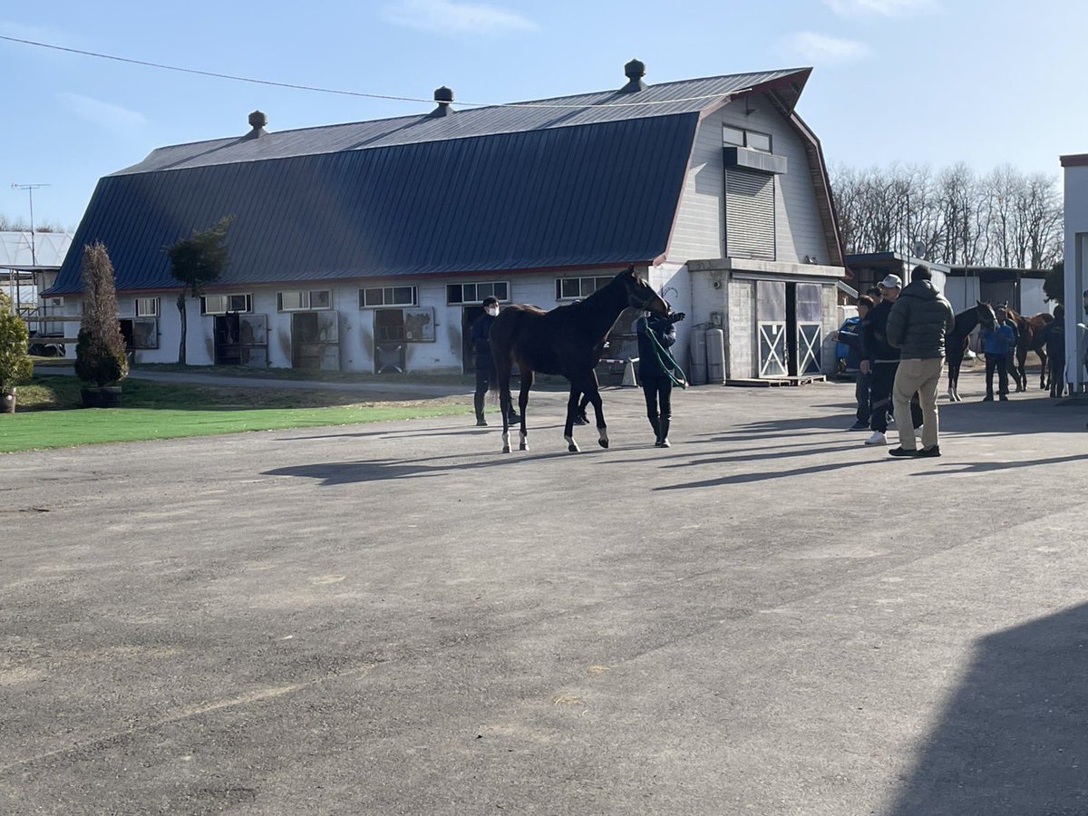 門別牧場 tweet media