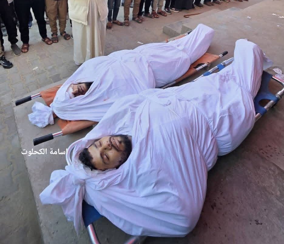 حليمة tweet media