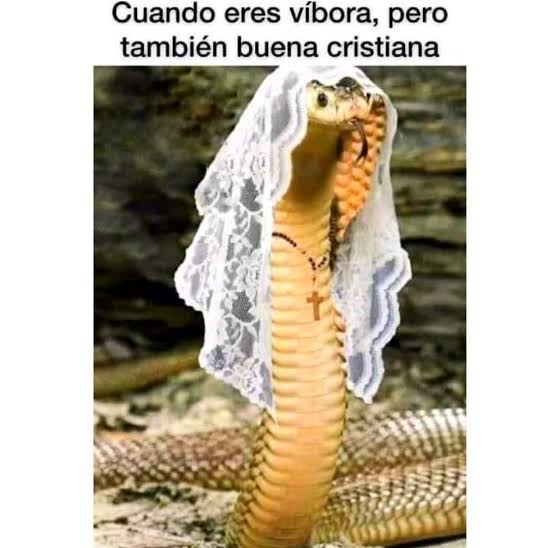 Israel Morales 🇲🇽🇷🇺🇨🇳🇵🇸 tweet media