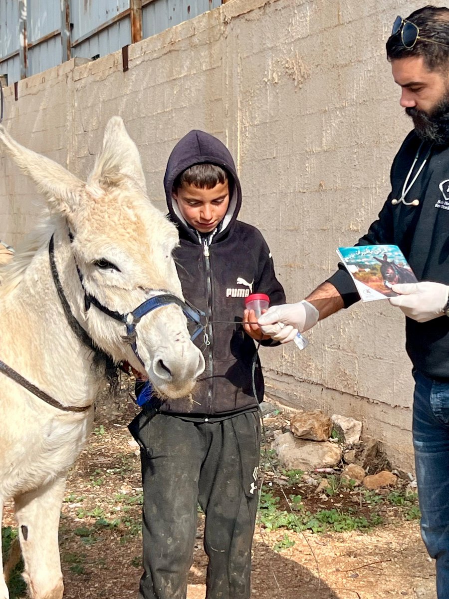 Safe Haven for Donkeys tweet media