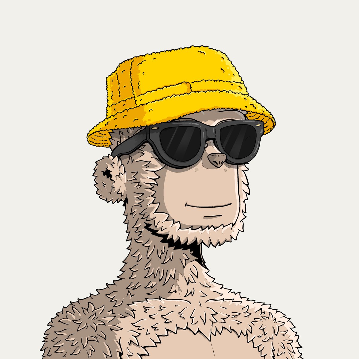 DeGods Community tweet media