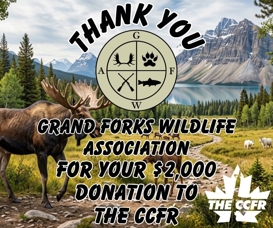 CCFR/CCDAF tweet media