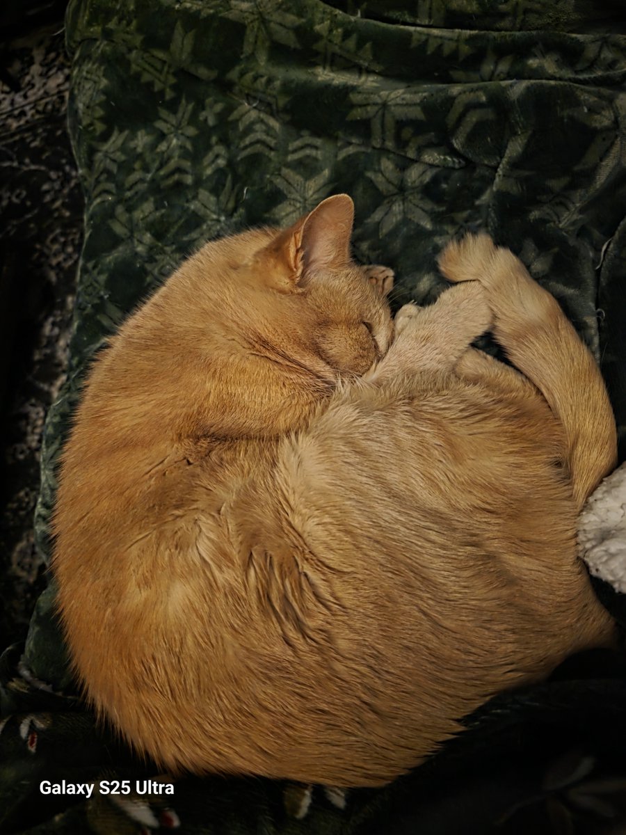 TiMeTeLl tweet media