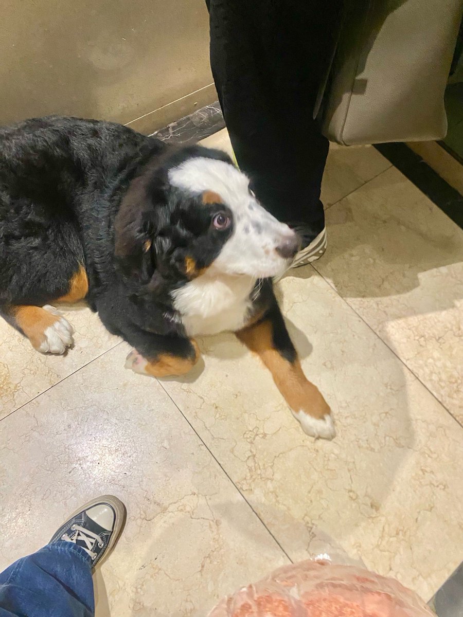 Alex Johnson tweet media