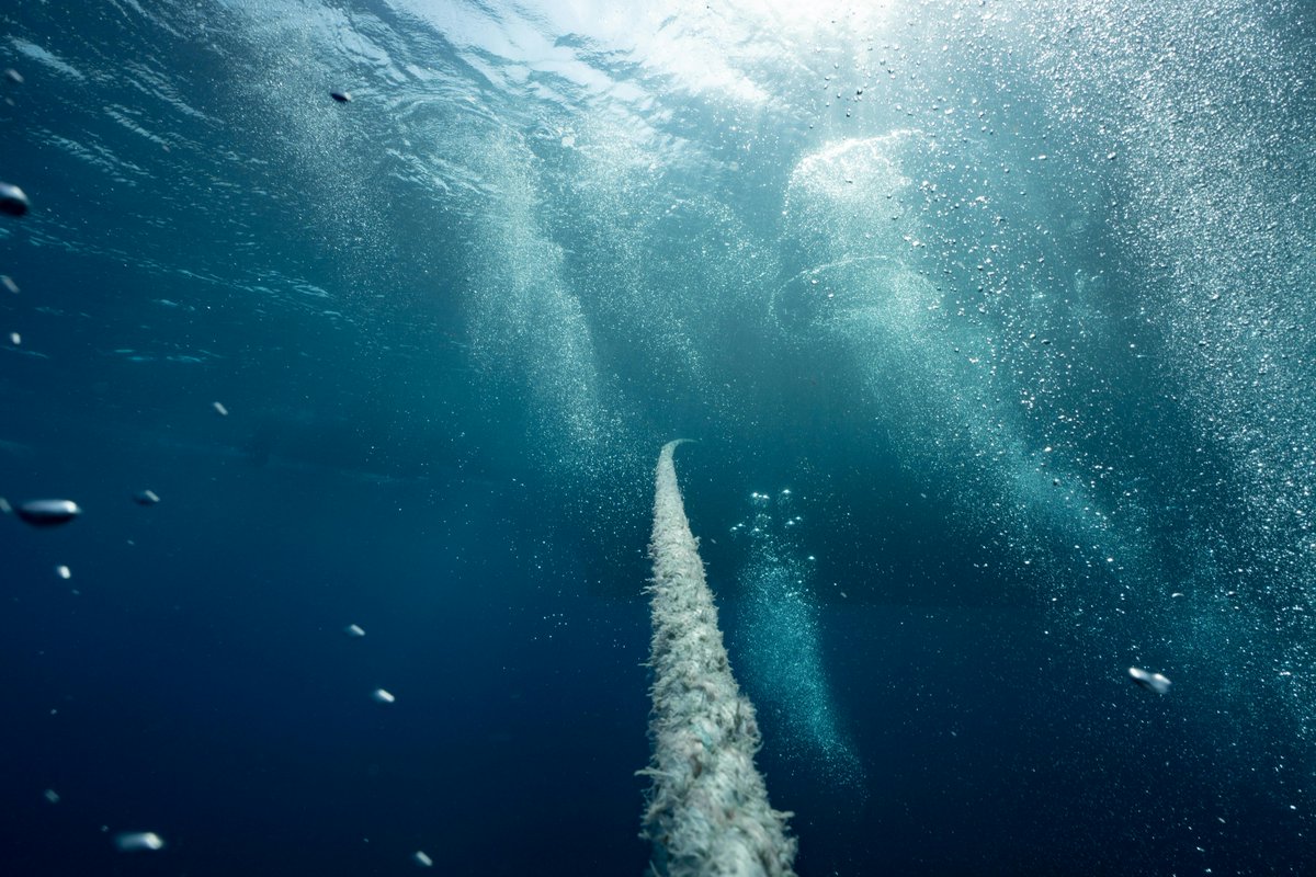 Humari_Dunya's tweet image. پی ٹی سی ایل: سب میرین کیبل کی مرمت منگل سے شروع، شام میں انٹرنیٹ سروس متاثر ہو سکتی ہے

#Cabel #Cable #Pakistan #PTCL #ptcl_submarine_cable_maintenance

tinyurl.com/29urfbz5 

humaridunya.com