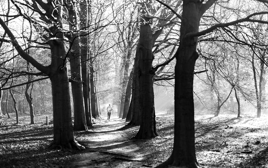 ピーチ姫 tweet media