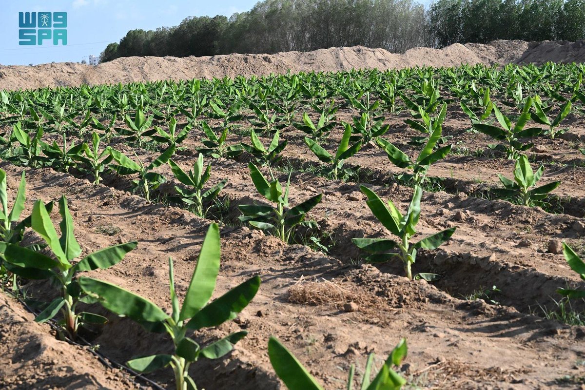 واس الاقتصادي tweet media