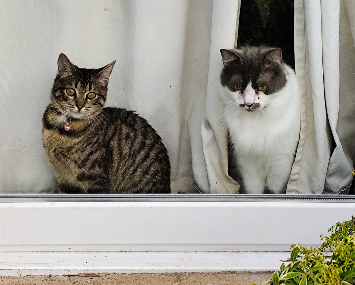 Hiking Lady 🚶🌸🍃📚️ 🎶🎬 ⚛️ tweet media