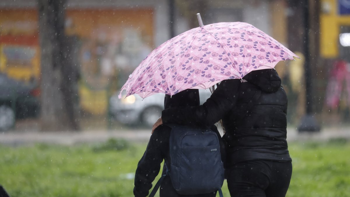 Cooperativa tweet media