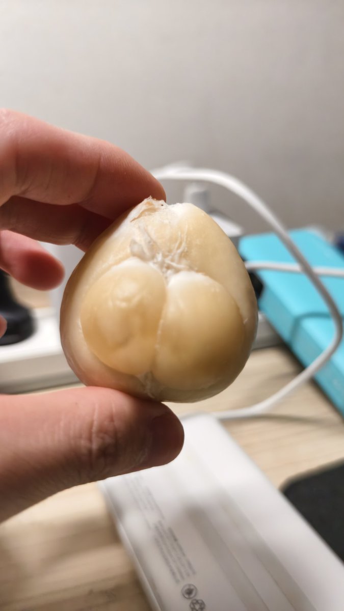 連山 Magma_ tweet media