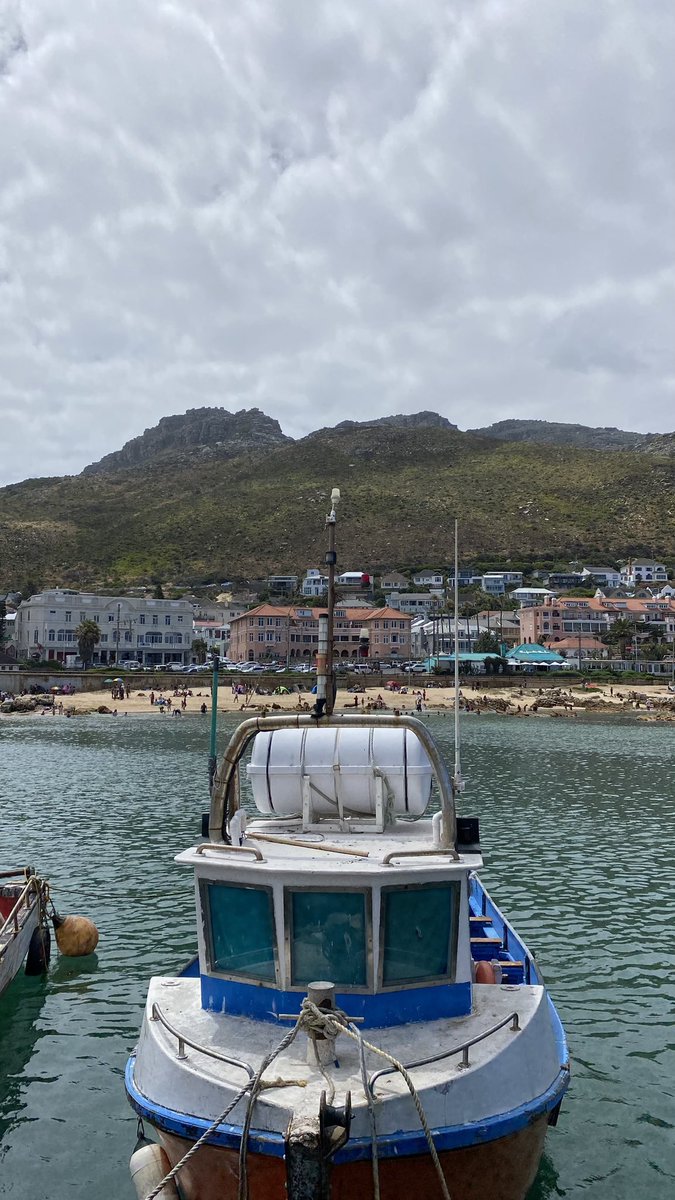 Sim Surfer . ☔ tweet media