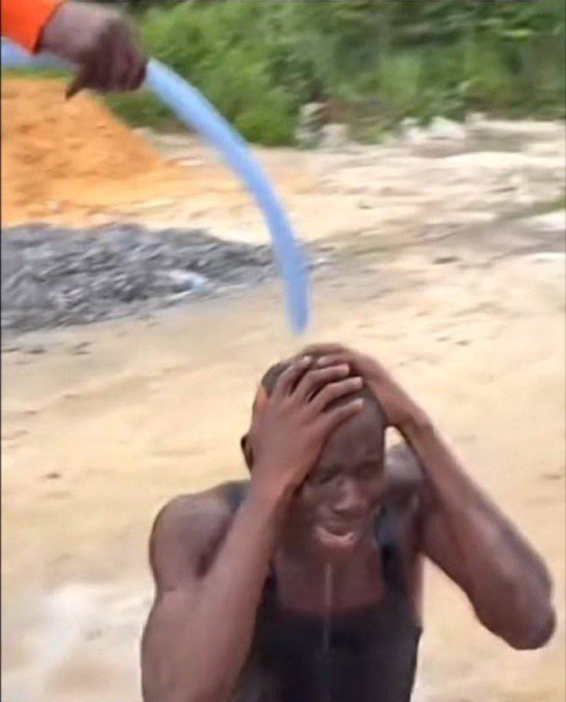 Assørted tweet media