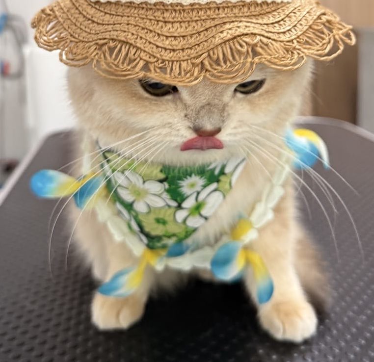 Reri 🌞 tweet media