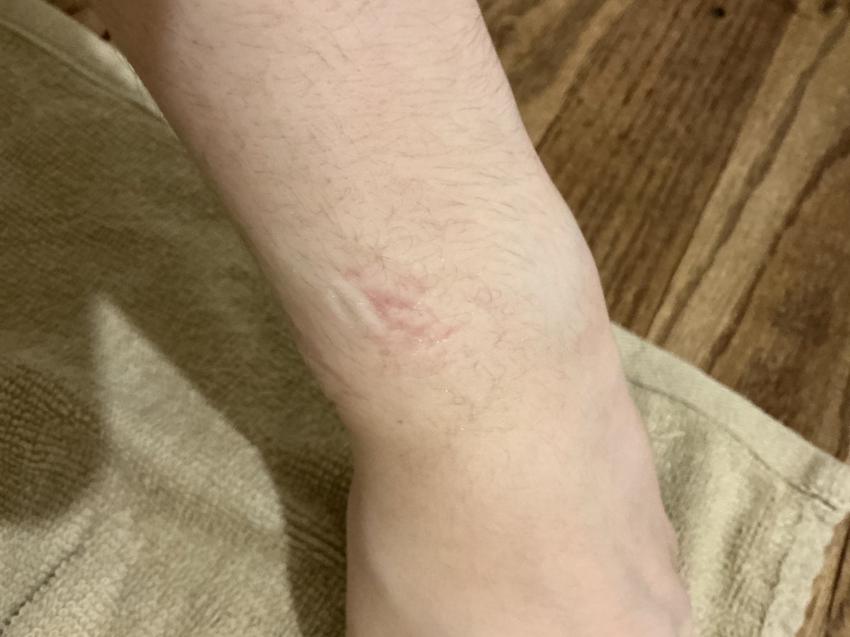 Animatic Of OSCSHEDTWT tweet media