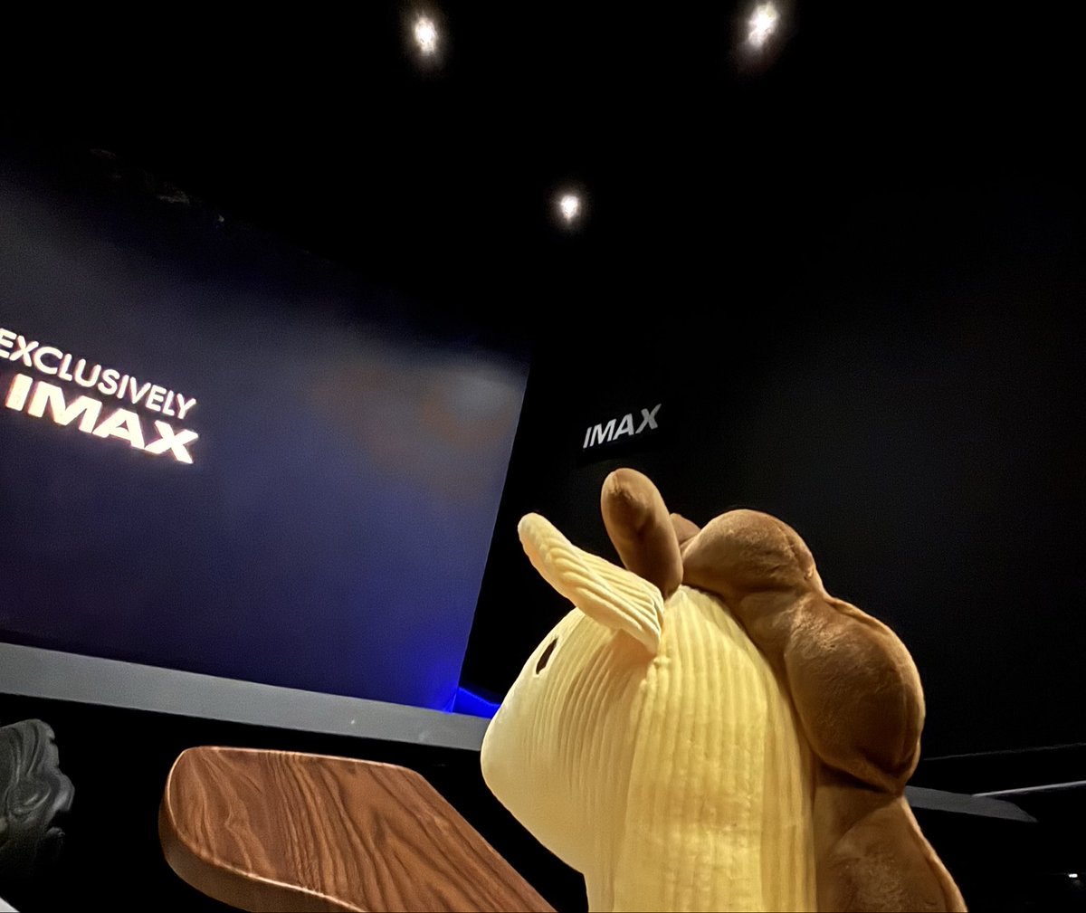 💫 rino🏙🦒 HIATUS tweet media