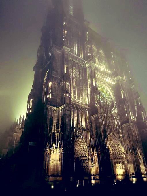 ThinkingWest tweet media