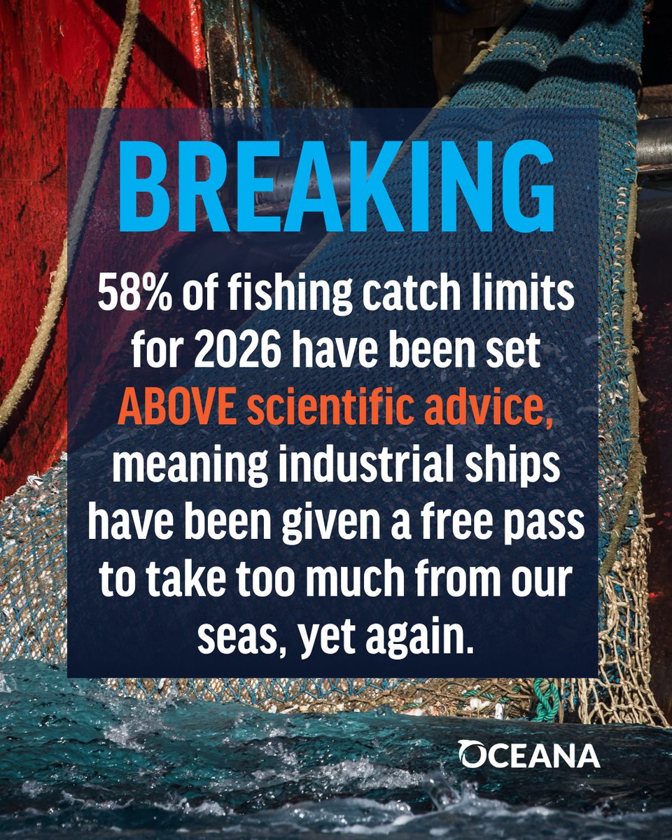 Oceana UK tweet media