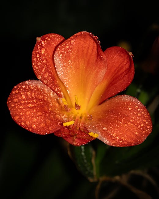 Darrell Gonzalez tweet media