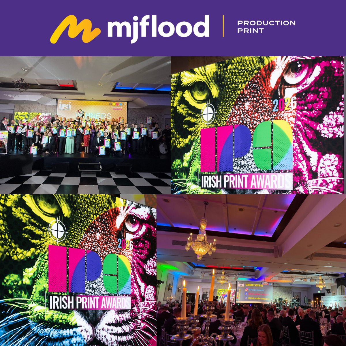 MJ Flood tweet media
