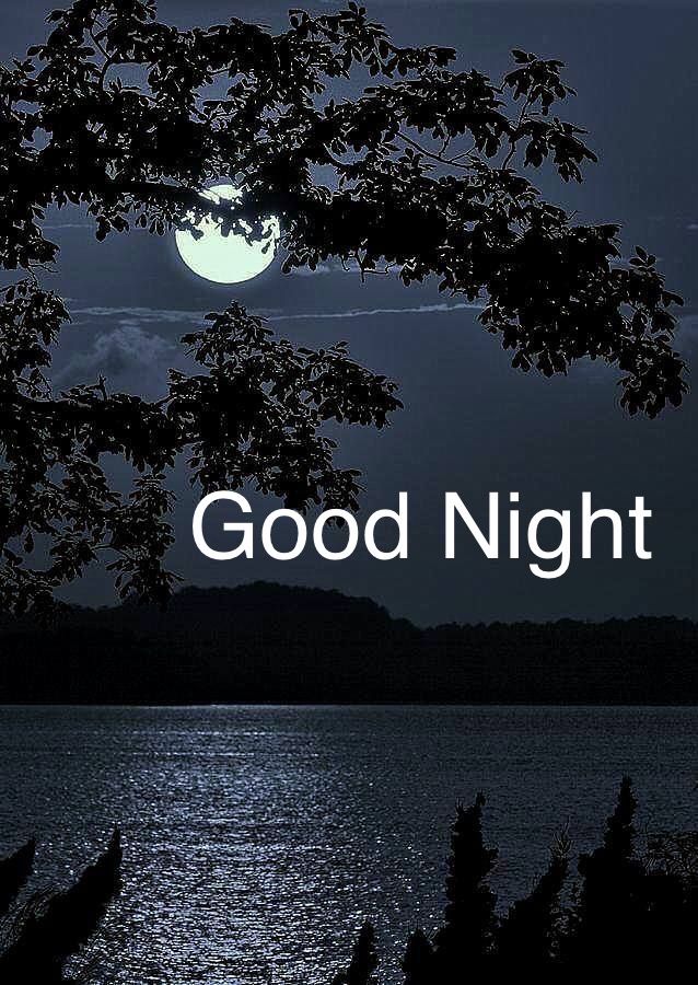 KalpanaM1346's tweet image. Good night X 
#GoodNight